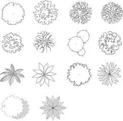 Cad tree top view isolated on white background for landscape plan and architecture layout drawing, elements for environment and garden.