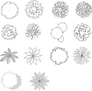 Cad tree top view isolated on white background for landscape plan and architecture layout drawing, elements for environment and garden.