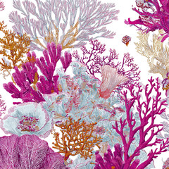 Vivid coral reef with textured, branching structures against black