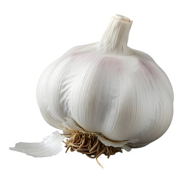 garlic isolated on transparent background