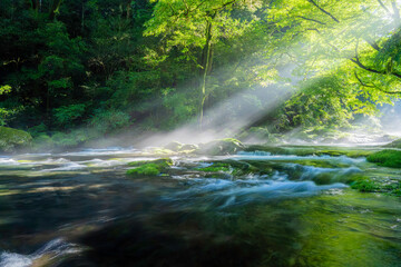 熊本-【菊池渓谷の光芒】