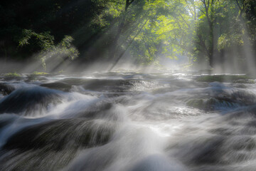 熊本-【菊池渓谷の光芒】