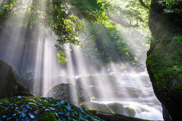 熊本-【菊池渓谷の光芒】
