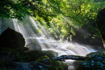 熊本-【菊池渓谷の光芒】