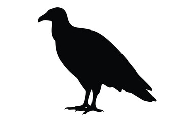 Vulture bird vector silhouette, vulture black silhouette vector