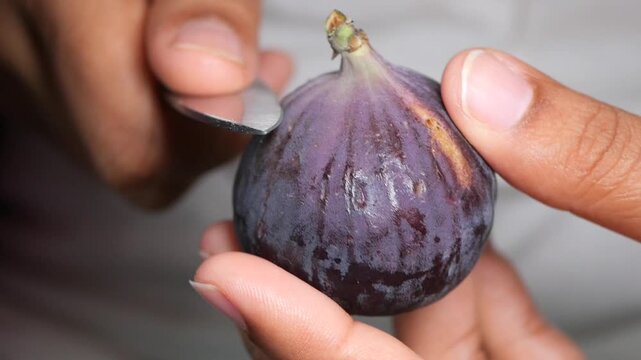 Cutting a fresh fig for tasting in a home kitchen