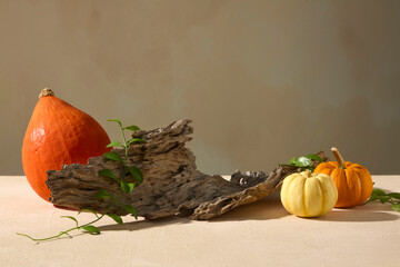 Rustic pumpkins and wooden bark arranged on a beige background, symbolizing the harvest season....