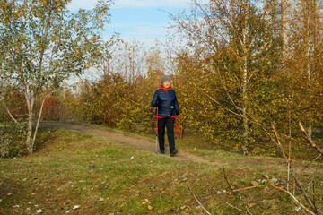 Fototapeta premium A Caucasian woman wearing a jacket and hat with Nordic walking poles walks in an autumn city park, full length portrait