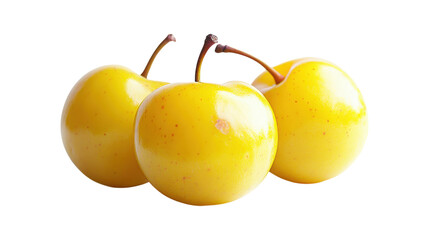 Three yellow plums on stems isolated on a transparent background