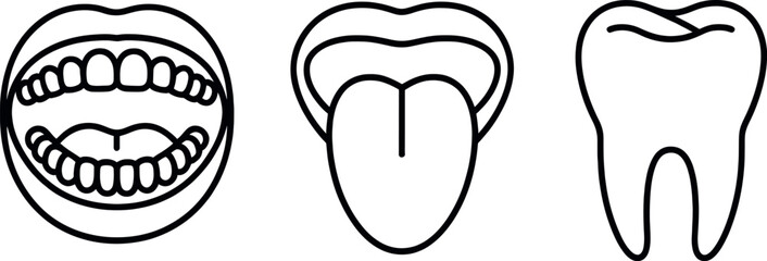 Line drawing set of open mouth with teeth tongue and a single tooth icon vector