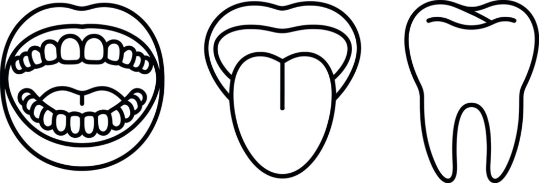 Line drawing set of open mouth with teeth tongue and a single tooth icon vector
