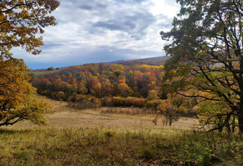 Autumn walks in the nature park in the morning in the countryside in the rays of the rising sun
