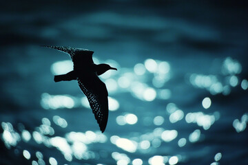 A lone seabird soaring over an ocean shimmering with bioluminescence