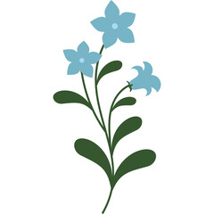 Delicate Light Blue Flowers with Dark Green Leaves on a Transparent Background a Simple Botanical Illustration