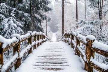 wooden bridge covered in snow, nestled deep within an enchanted winter forest
