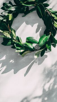 laurel. Woven laurel wreath of fresh bay leaves in sunlight, classical victory symbol. event programs, museum guides, designed for cultural heritage projects and event programs.