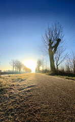 A serene and tranquil winter morning, with a frosty path winding its way towards a warm and glowing sunrise