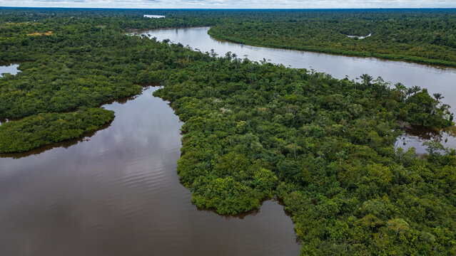 Drone image of the Nanay River in the Amazon rainforest of Iquitos, Peru  a blackwater (igap&oacute;) river surrounded by lush rainforest full of biodiversity.
