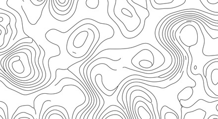 Contour Lines Topographic Map Black and White Design Geological Survey Cartography Illustration Earth Science Topography