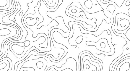 Topographic Map Contour Lines on White Background for Geographic Land Elevation Representation and Abstract Design Element