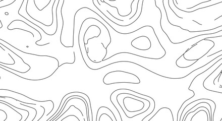 Topographic Map Lines Showing Elevation Contour Lines for Cartography and Geography Studies White Background