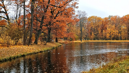 View of the city park in autumn