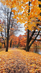 View of the city park in autumn