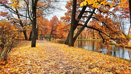 View of the city park in autumn