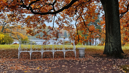 View of the city park in autumn