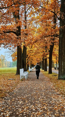 View of the city park in autumn