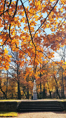 View of the city park in autumn