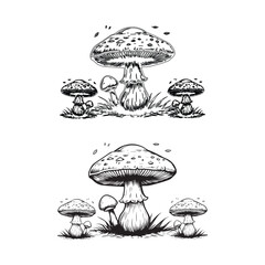 Mushrooms set. Hand drawn growing mushroom, mycelium in vintage engraving style. Sketch vector illustration