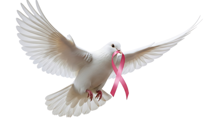 A white dove with outstretched wings carries a pink ribbon in its beak symbolizing hope and breast cancer awareness isolated on transparent background