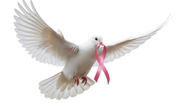 A white dove with outstretched wings carries a pink ribbon in its beak symbolizing hope and breast cancer awareness isolated on transparent background