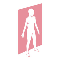 Anatomy Sagittal Plane