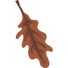 Detailed Brown Oak Leaf with Serrated Edges and Veins on Transparent Background Autumnal Natural Element