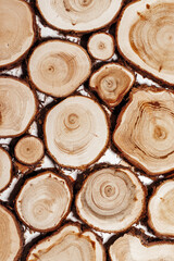 Wooden slices with annual rings texture natural background, circle shape of timber tree as minimal...