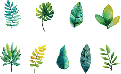 watercolor set of green leaves