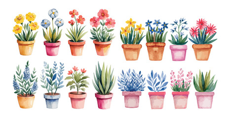 Watercolor potted flowers and succulents vibrant collection indoor houseplants gardening decoration springtime botanical illustration