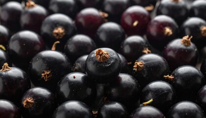 Close-up of fresh, ripe blackcurrant berries. Their glossy, deep purple-black skin signifies rich antioxidants and makes them perfect for healthy recipes and refreshing culinary uses