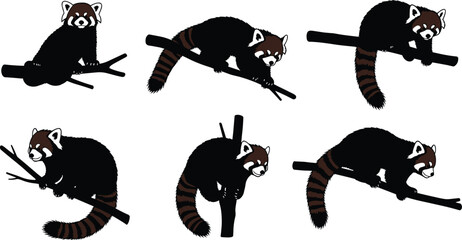 Cute red panda vector illustration set, cartoon style animal sitting and climbing on tree branches, wildlife character art, detailed flat design © Amol Chandra