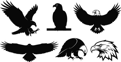 Majestic eagle silhouette collection, flying and perched bird of prey poses, powerful raptor illustration set, wildlife logo design concept, vector artwork