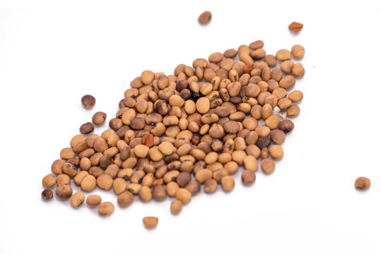 Close up of Dried Organic Cluster beans or Guar phali (Cyamopsis tetragonoloba) seeds isolated on white background.