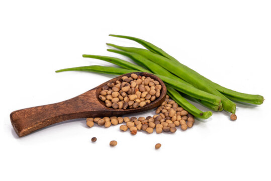 Close up of Dried Organic Cluster beans or Guar phali (Cyamopsis tetragonoloba) seeds isolated on white background.