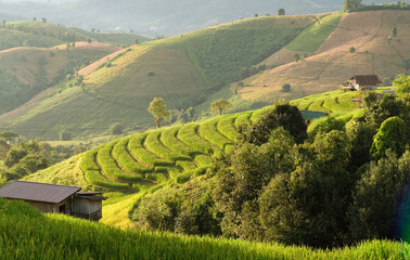  Views of Pa Bong Piang rice terraces, Chiang Mai, Thailand
