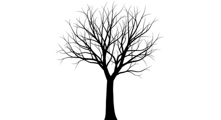 Obraz premium Striking Silhouette of a Bare Deciduous Tree with Intricate Branch Structure Against a White