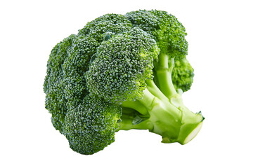 Fresh broccoli head with vibrant dark green florets and sturdy stem isolated on cut out PNG or transparent background. Realistic vegetable template pattern. Show natural texture and crisp details. 