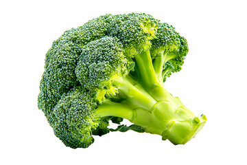 Broccoli fresh head with vibrant dark green florets and sturdy stem isolated on cut out PNG or transparent background. Realistic vegetable template pattern. Show natural texture and crisp details.