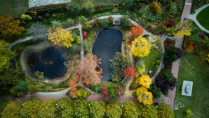 nature mosaic view, landscape ecologist examines interconnected ponds and vibrant vegetation patches