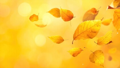 Fototapeta premium Vibrant yellow autumn leaves gracefully falling against a warm, sunlit background with a dreamy bokeh effect